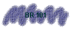 BR 101