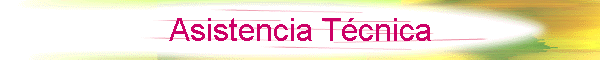 Asistencia T�cnica