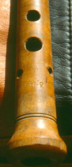 AMPLIAT