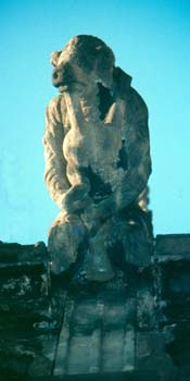 porccornamusaire
