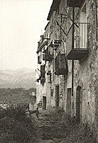 Lo Carrer�