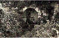 La Cucurulla