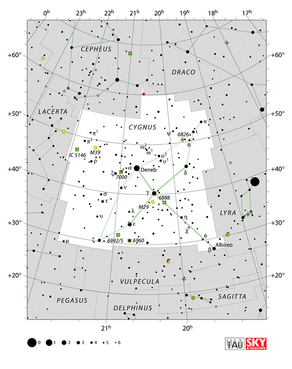 Cygnus