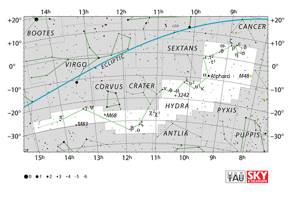 Cygnus