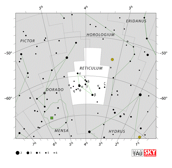 Reticulum