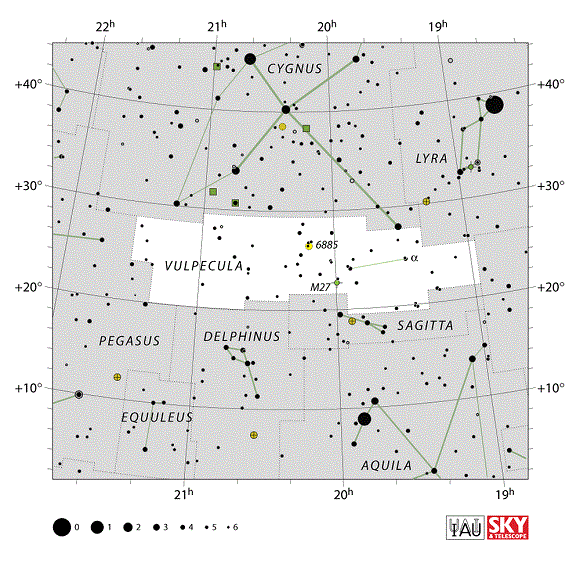 Vulpecula