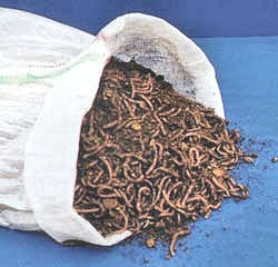 A Bag of Worms