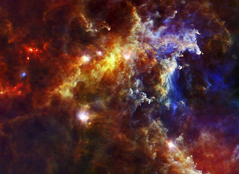 Embryonic Stars in the Rosette Nebula