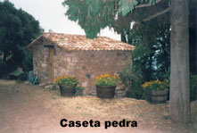 CLIC PER A TORNAR 
