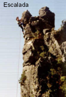 CLIC PER A TORNAR 