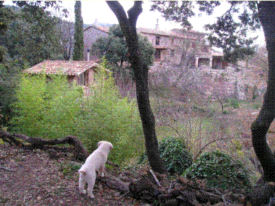 CLIC PER A TORNAR 