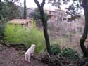 CLIC PER AMPLIAR