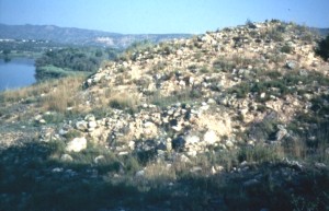 Mossell&oacute;