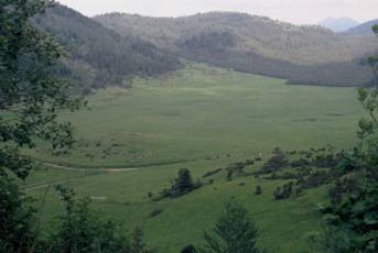 Prats de Comus