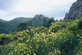 Castell de Puilorens