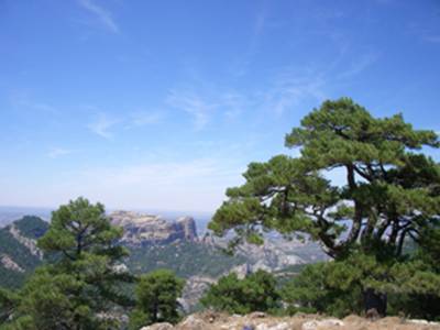 les roques d'en Benet