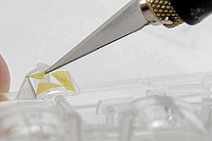 Enmascarar las piezas transparentes