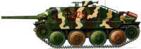 Camuflaje �oto�al�