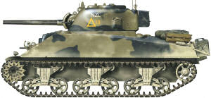 Colores SCC.5 y SCC.14