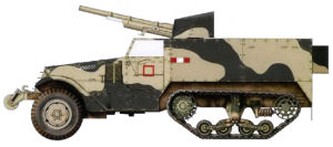 Colores SCC.5 y SCC.14