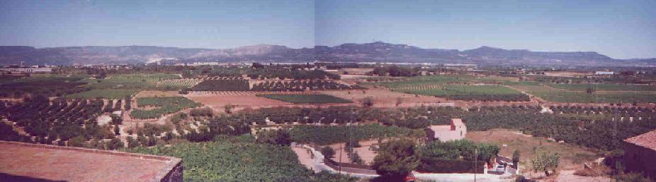 Terme de Puigpelat (oest)
