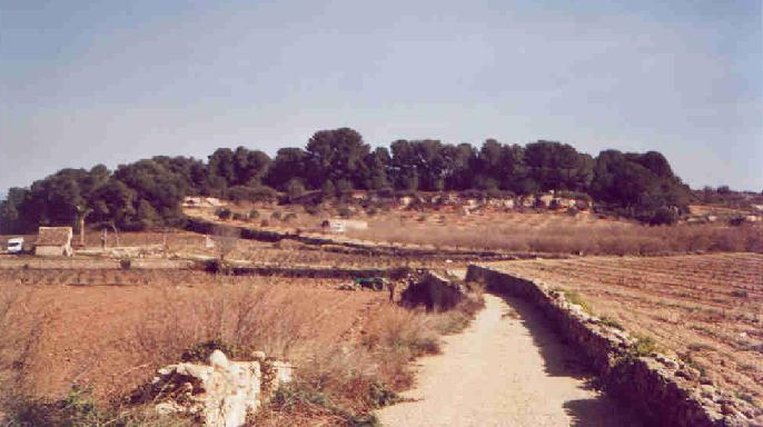 Bosc de Blanch
