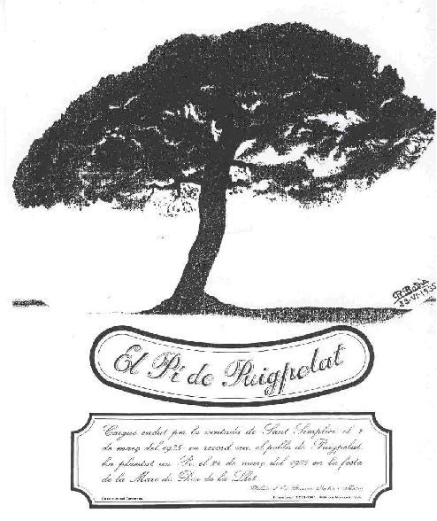 Antic Pi de Puigpelat