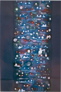 fragment