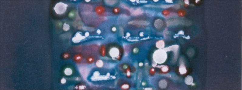 fragment