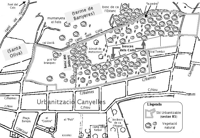 Croquis de situaci� dels boscos del Julivert i els Colls