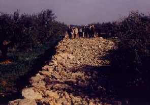 Santa Oliva, Pened&egrave;s