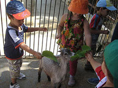 visites