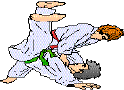 judo
