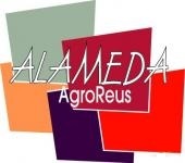 logo alameda