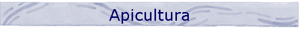 Apicultura