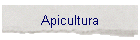 Apicultura