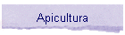 Apicultura