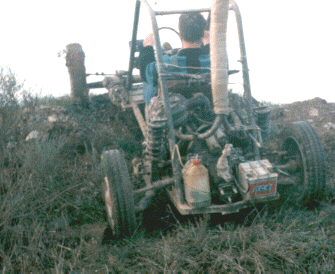 cabra4x.jpeg (85612 bytes)