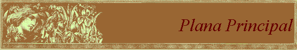 Plana Principal