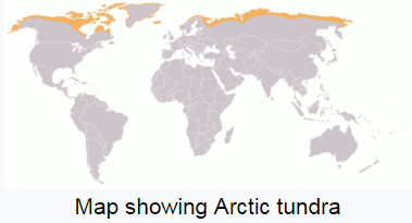 Tundra