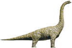 braqui.gif