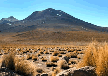 desert.gif