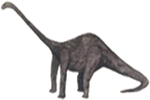 diplo.gif