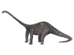 diplodocus.gif
