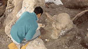 paleont.gif