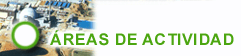 �reas de Actividad