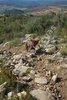 Brafim09_063