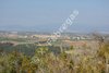 Brafim09_002