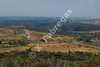 Brafim09_001