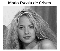 Modo Escala de Grises